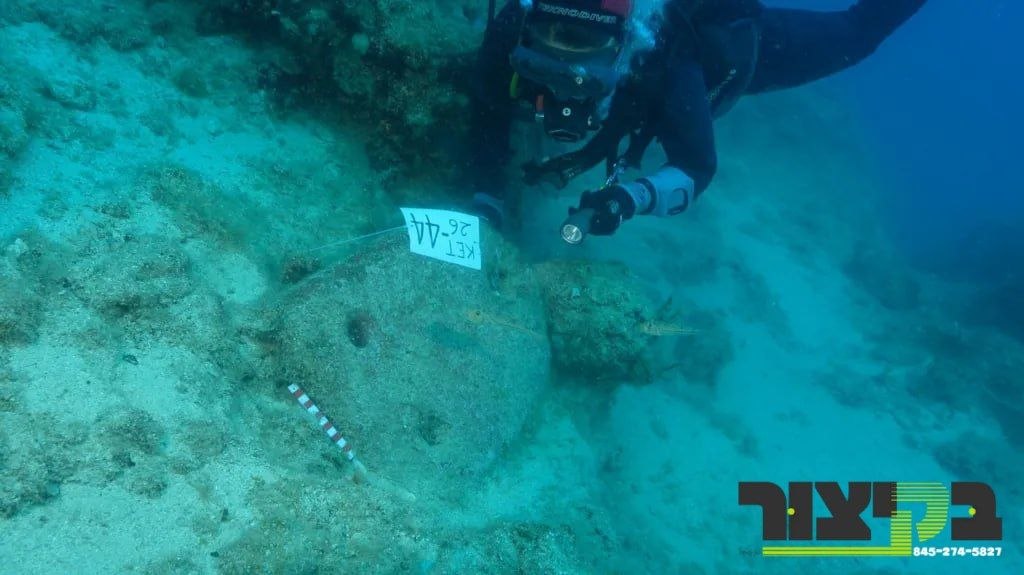 ארכעאלאגן זאגן אז זיי האבן געפינען די איבערבלייבענישן פון דער וועלט'ס עלטסטע…